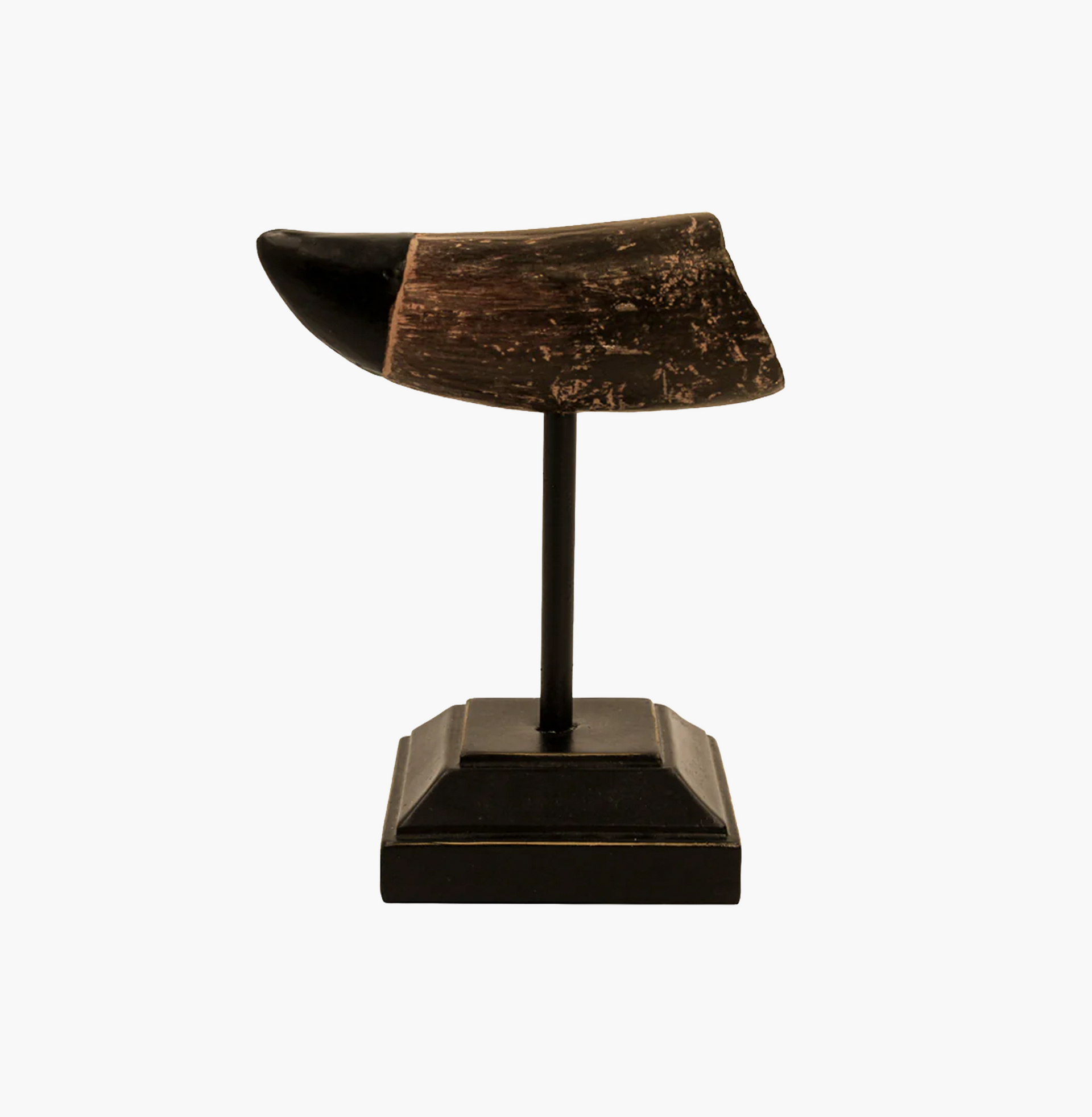 Figura diente de T-Rex en resina