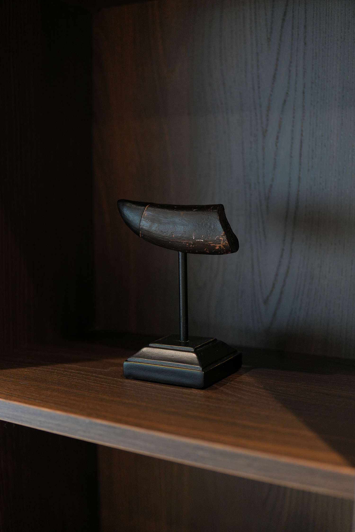 Figura diente de T-Rex en resina